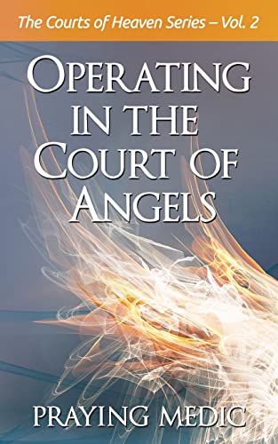 Operating in the Court of Angels (The Courts of Heaven, Band 2) von Inkity Press